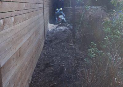 Removing 8 tree stumps so we can get ready for planting new shrubs Photo Gallery