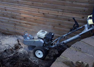 Stump Grinding Photo Gallery